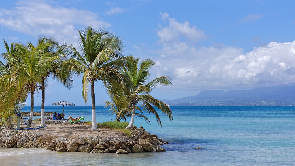 Les plus belles plages de la Guadeloupe : Guide complet pour des moments paradisiaques